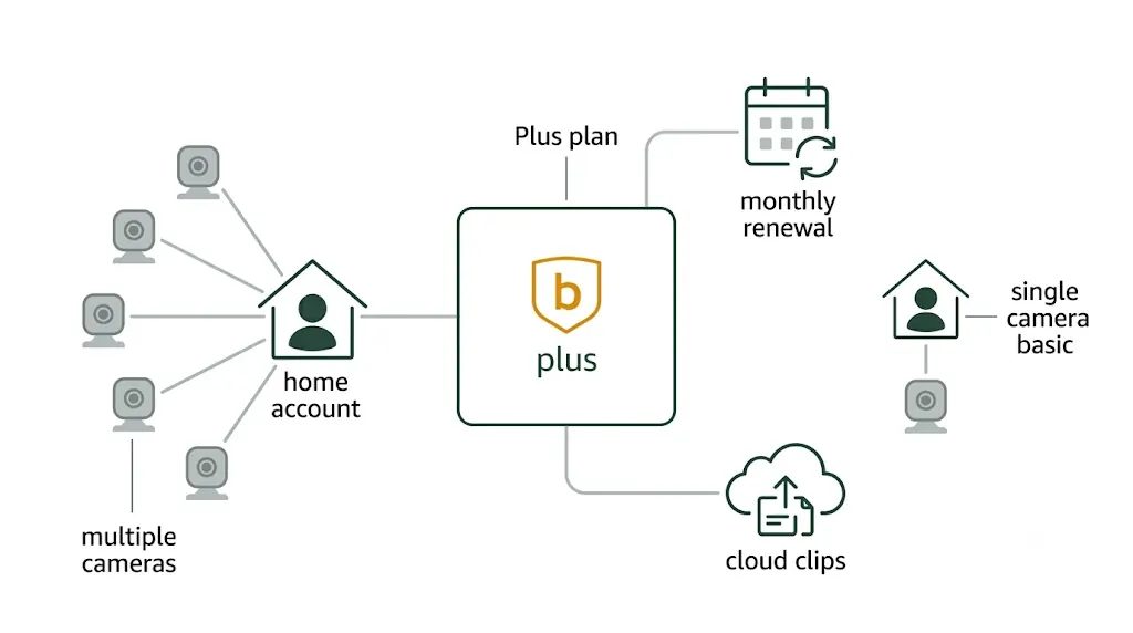 Blink Plus plan card connected to multiple cameras, monthly renewal, and cloud clips