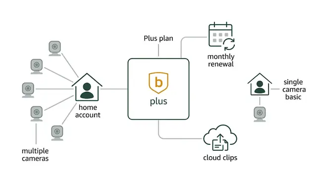 Blink subscription plan for multiple cameras