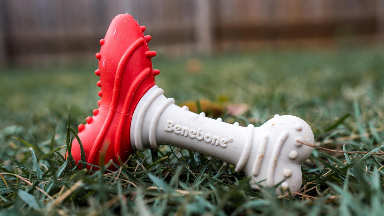 Benebone Wishbone dog chew toy