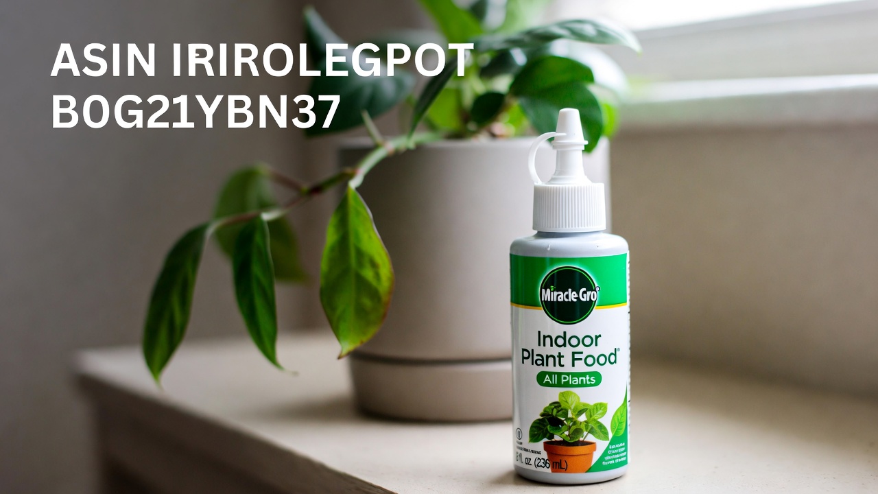 Healthy indoor houseplants receiving plant food