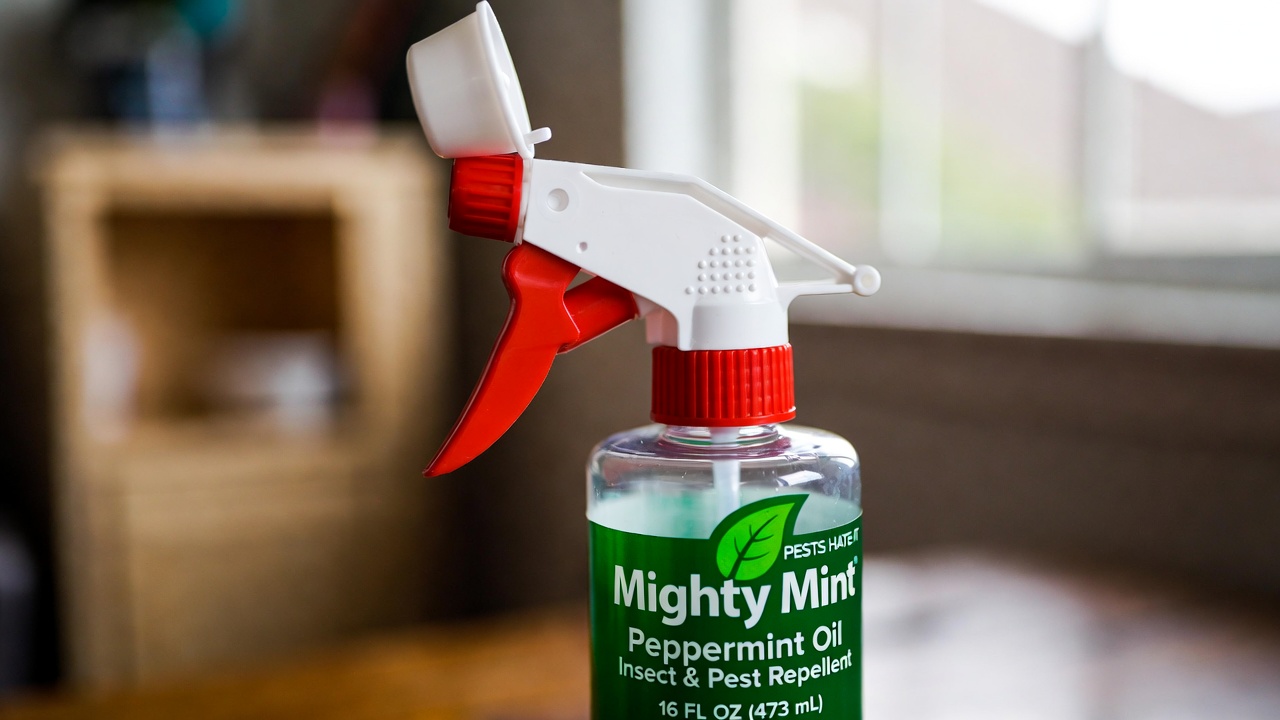 Mighty Mint Peppermint Oil Insect Repellent Spray 16 oz bottle product image