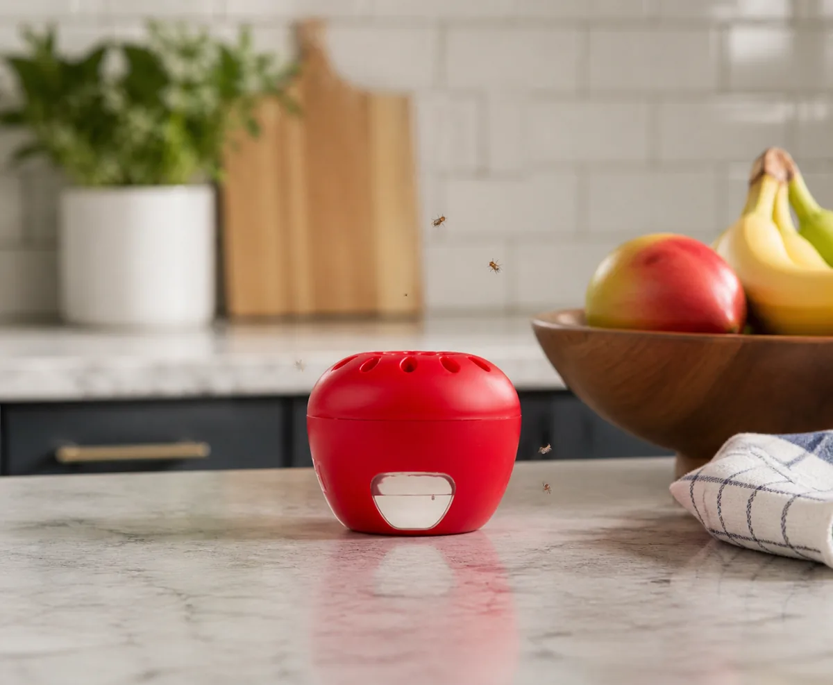 Apple-shaped TERRO fruit fly trap with built-in monitoring windows for indoor kitchen use.